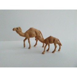 Camellos