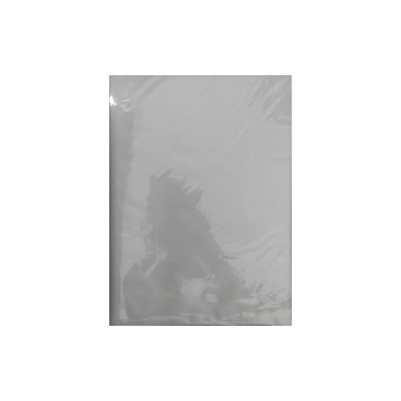 Carpeta 40 fundas  - Manifol