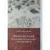 Història des Castell, Cova de pala nº 43