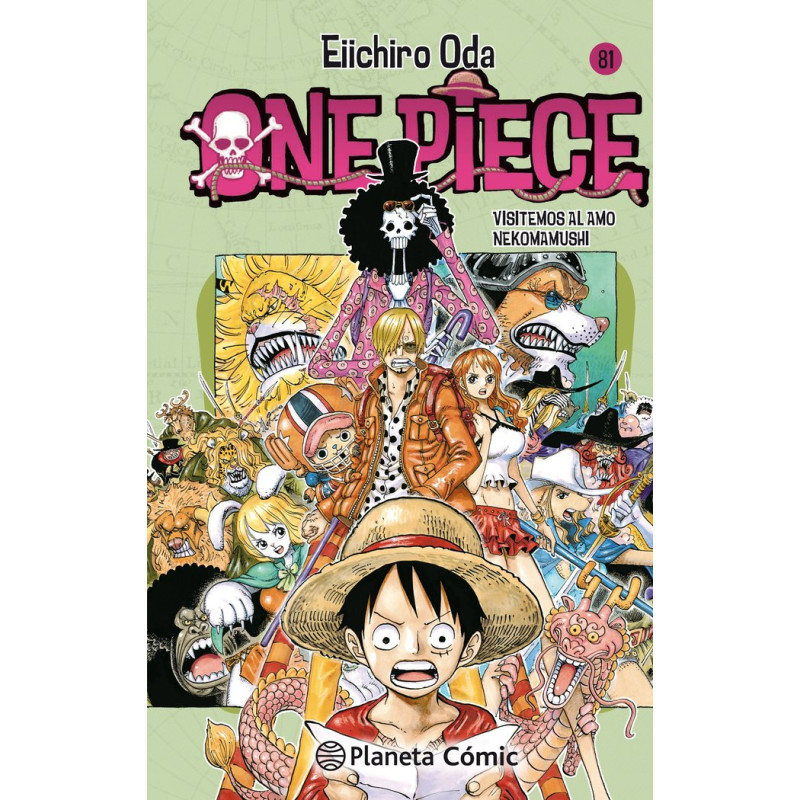 ONE PIECE 81