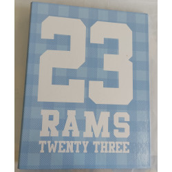 Carpeta  A4 Rams 4 anillas