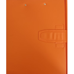 Carpeta 4A y miniclip color...