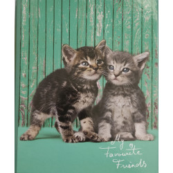 Carpeta A4 gatos