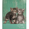 Carpeta A4 gatos
