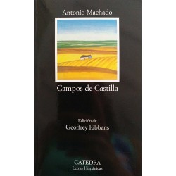 Campos de Castilla